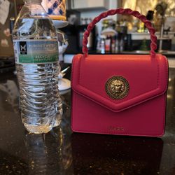Aldo  Mini Purse 