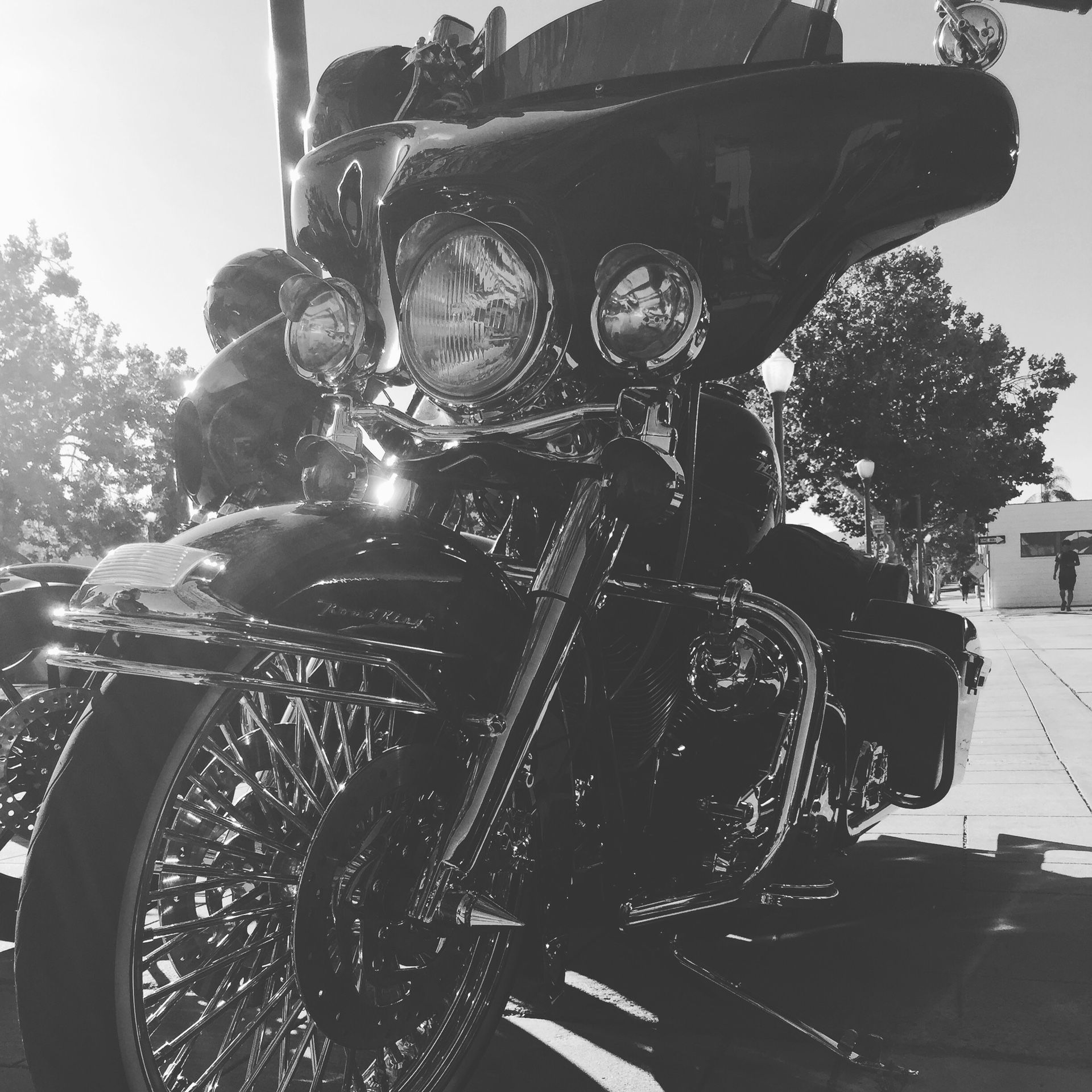 Vicla Road King