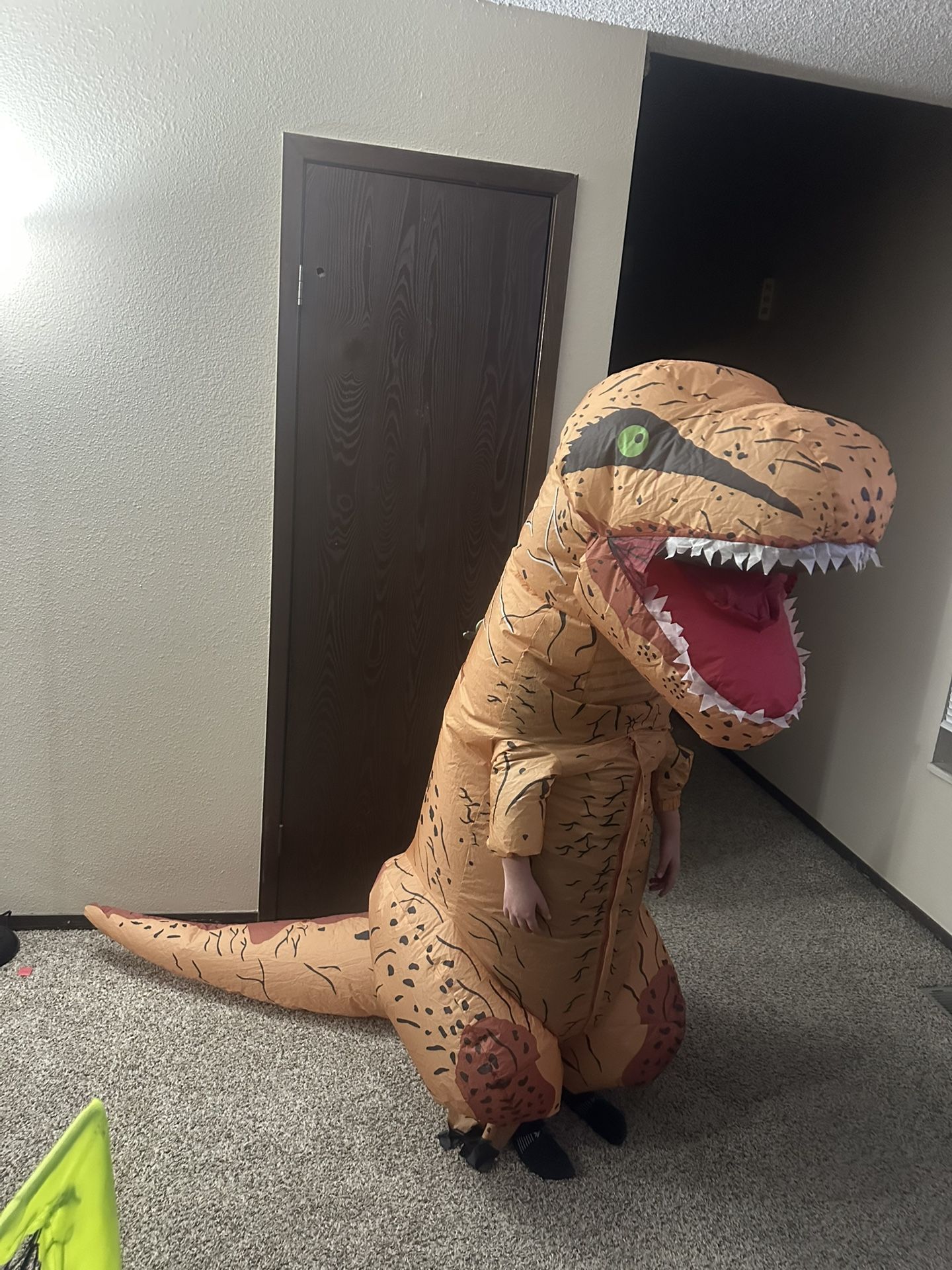 Dinosaur size 8-10, perfect condition