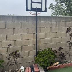 Free Basket Ball Hoop