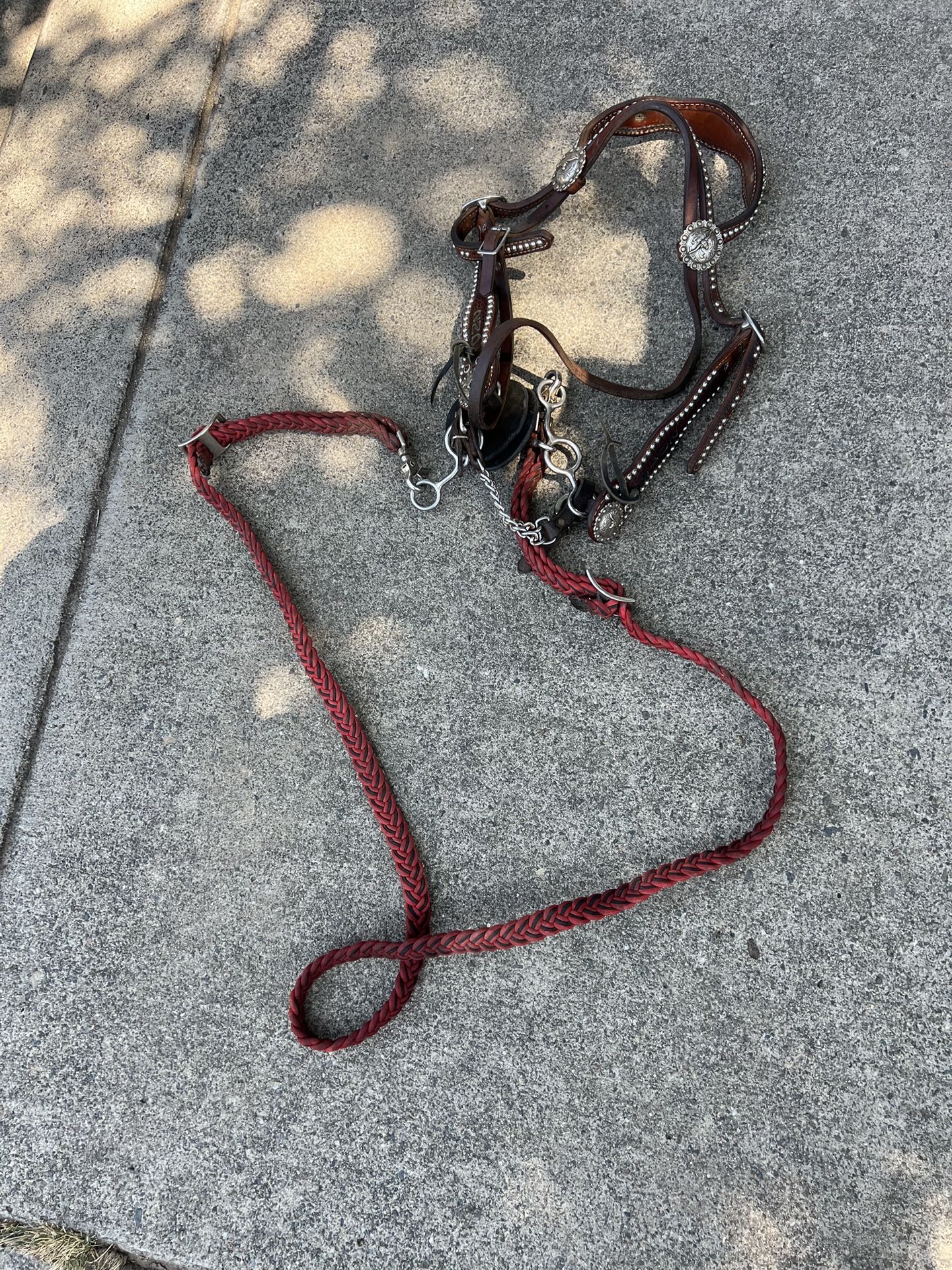 Equine Tack Luans Leather $170