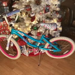 20” Mountain Next Girltalk Bike for Girls Excellent Condition $40 Firm