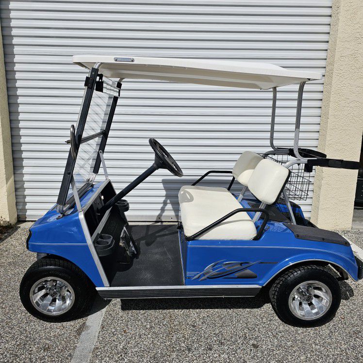 Club Car DS Golf Cart 48V