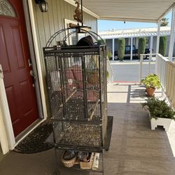Bird Cage For Sale 