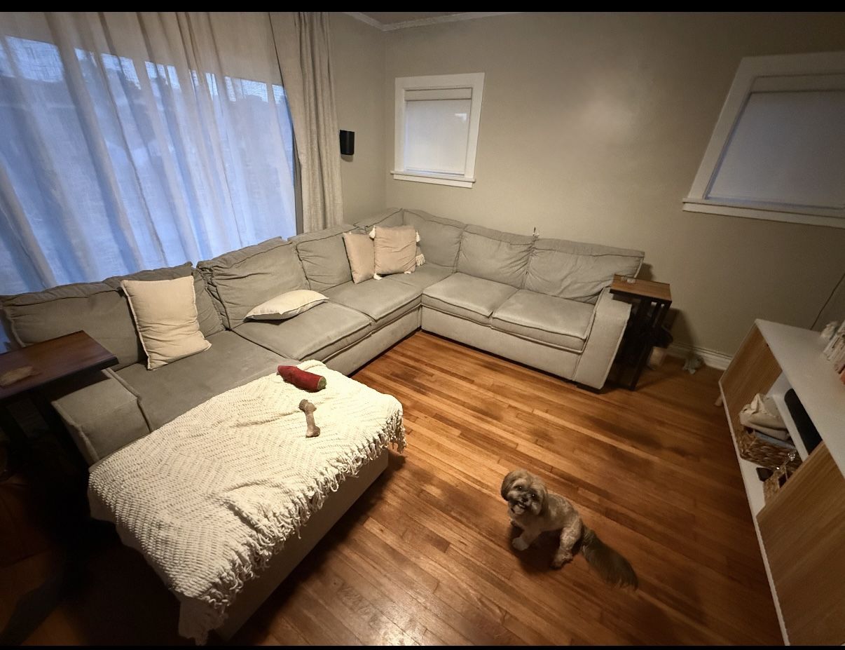 Couch With Pull Out Bed FREE