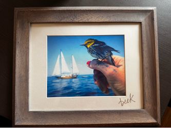 Signed Original Photography Print – Warbler & Sailboat | Framed & Matted | 16x19 | Nautical Nature Art