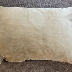 FREE Dog Pillow  (Never Used)