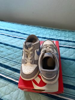 Nike Dunk Toddler Sneakers Gray White Blue