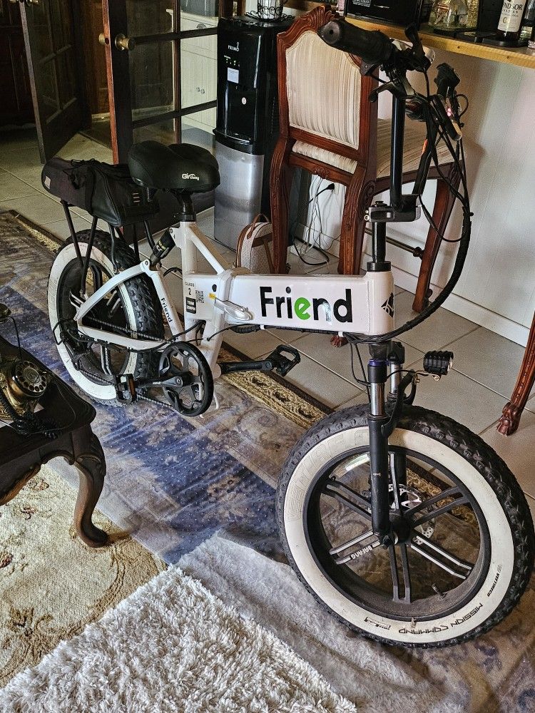 FRIEND Ebike Quicksale