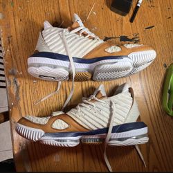 Lebron 16 Air Trainer 