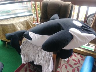 Delfin