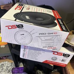 Ds18 speaker