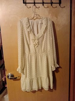 Cream Chiffon Long Sleeve Mini Dress size L