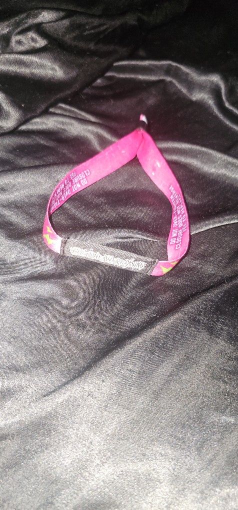 When We Were Young Festival Wristband(admission)