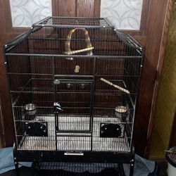 Bird Cage Black 