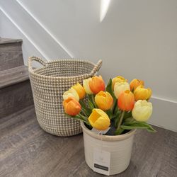 Tulips with basquet 