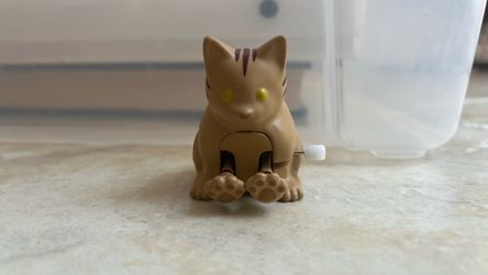 Kijitora Zenmai Fumifumi Neko