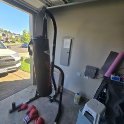 Punching Bag 