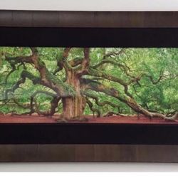 Peter Lik and Jeff Mitchum