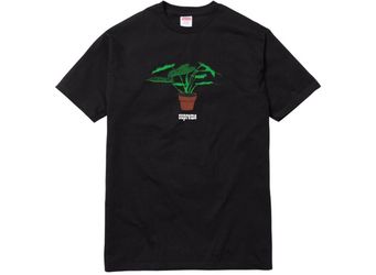 Supreme plant tee size large