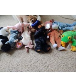 25 Beanie Babies $2 Per