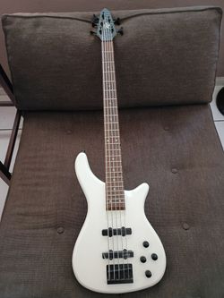 Electric Bass Guitar