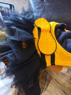 Medium dog bumblebee costume