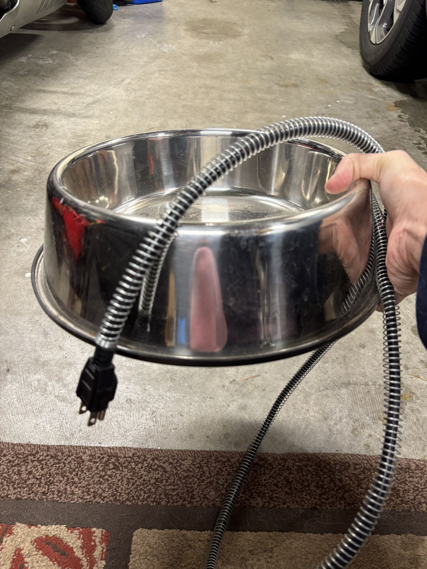 Heated Water Bowl For Dogs 