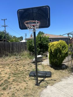 Basket Ball Hoop