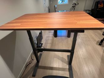 Vari Electric Standing Desk + 27" 4K Monitor + Active Seat