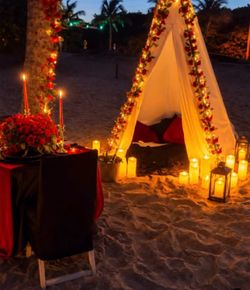 Luxury Picnics
