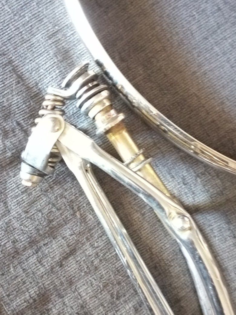 Schwinn Springer Forks 