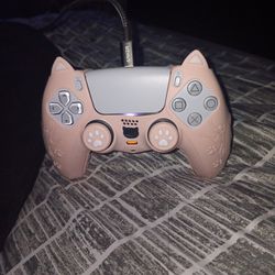 Kitty Ps5 Controller