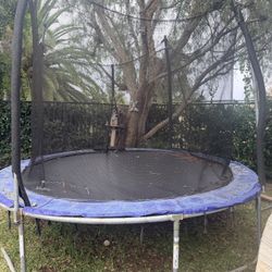 Free Trampoline 