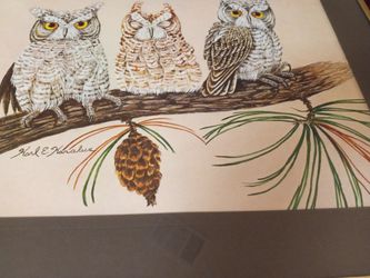 GLASS VINTAGE OWL PICTURE