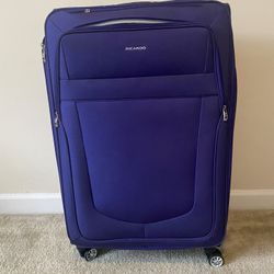 Checked Luggage 