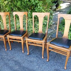 Dining Chairs 