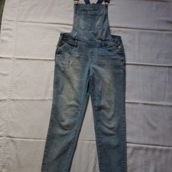 Wallflowr Women's Denim Overalls Blue Pockets ~ Size Medium 
