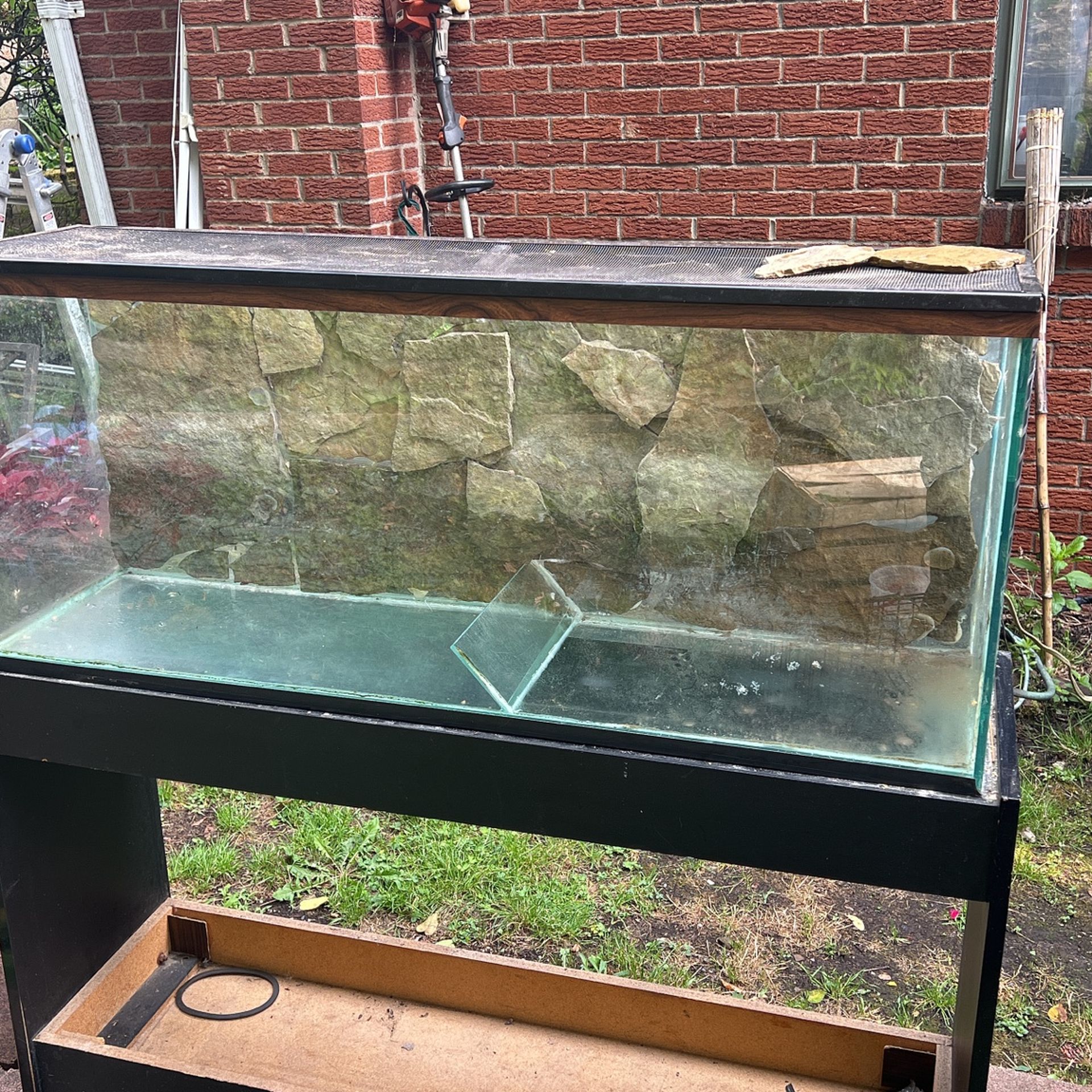 Fish Tank 