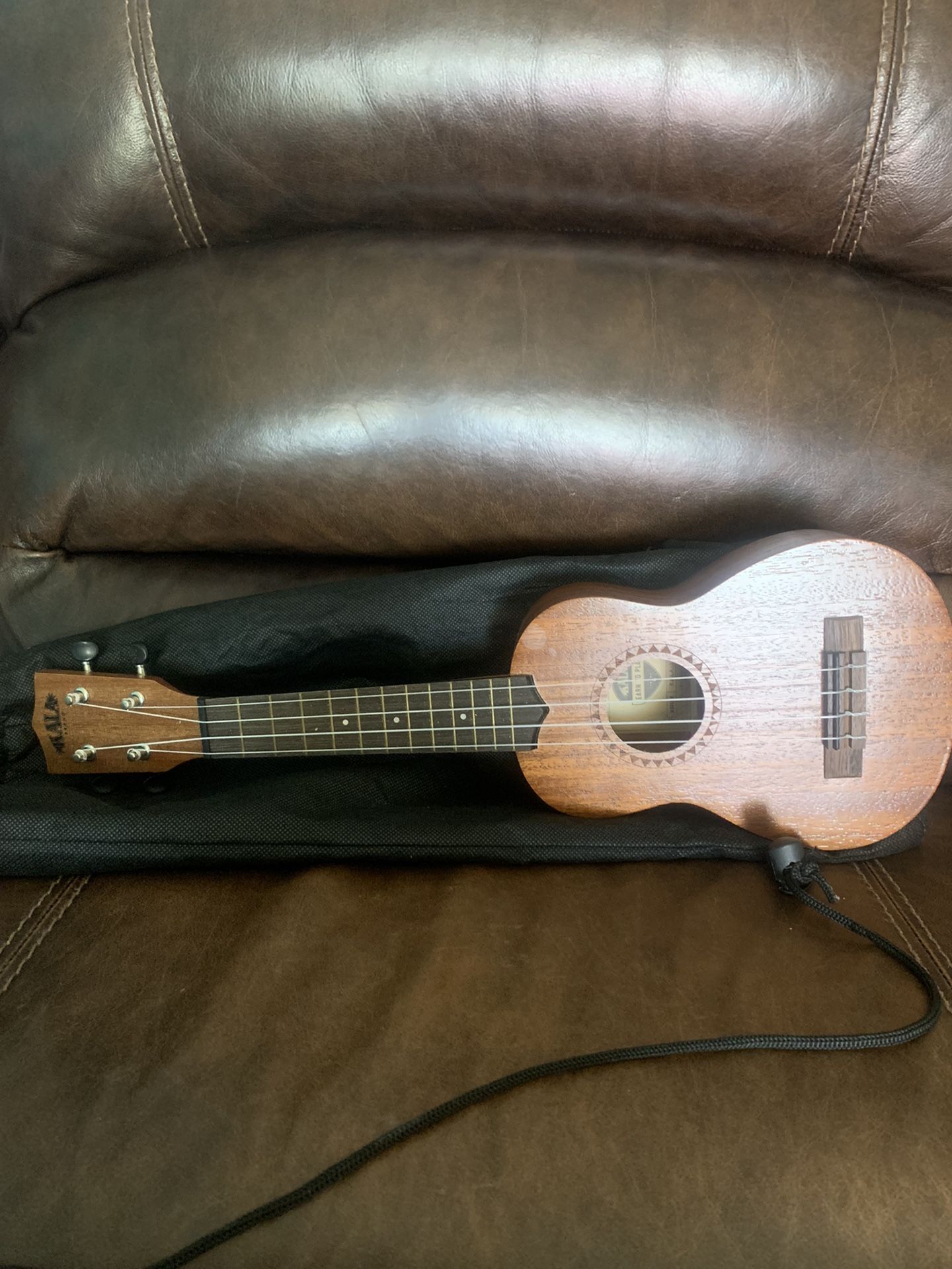 Kala Learn To Play Ukulele