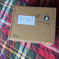 TXT Beomgyu Panic Mixtape 