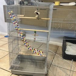 Bird Cage