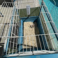 Rabbit Or Guniea Pig Cage