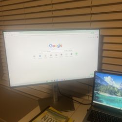 Dell Monitor 