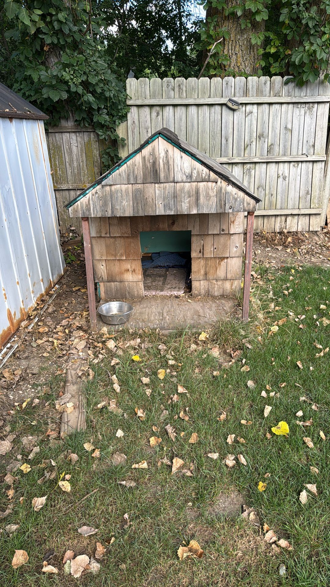 Dog House