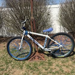 SE BIKE 2010 BIG RIPPER 