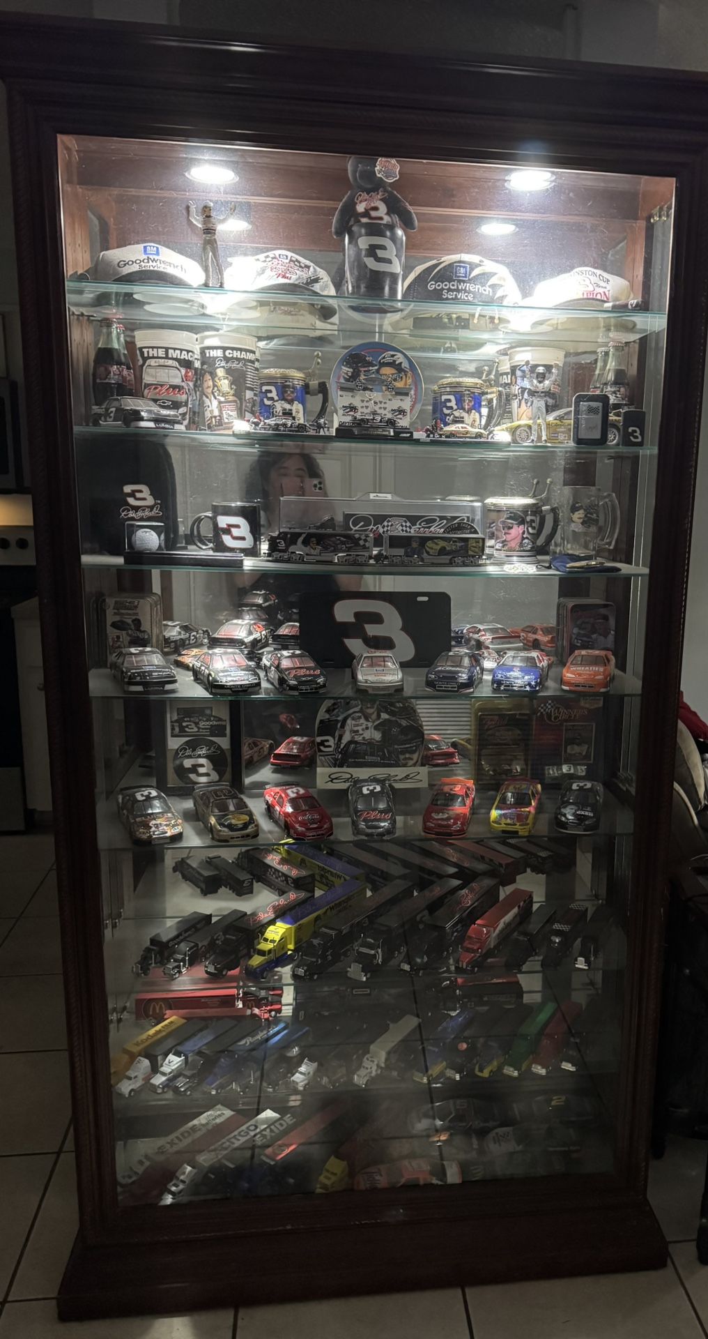 Curio Cabinet With 7 Glass Shelves And A Bottom Shelf