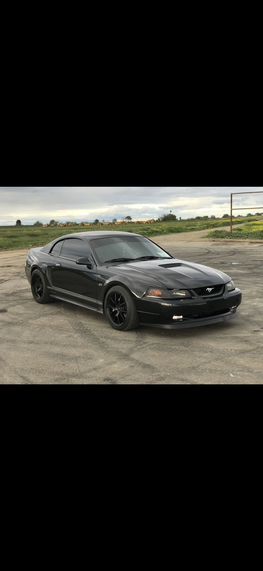 2000 Ford Mustang