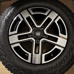 Rivian OEM 20” All-Terrain Bright