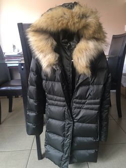 Tahari Winter Jacket , Olive Green $40